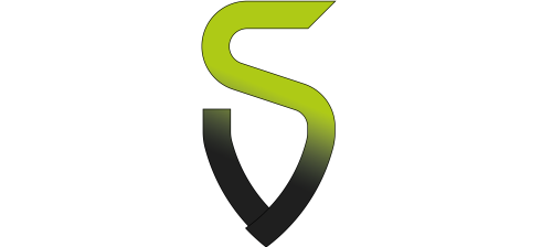 LOGO-SALT-20090